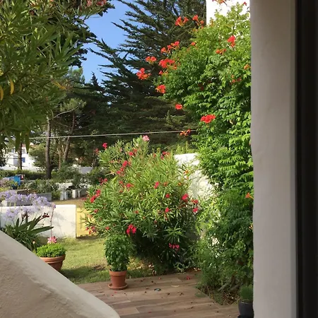 Dom wakacyjny Maison A Ile De Noirmoutier Avec Acces Direct A La La Guérinière